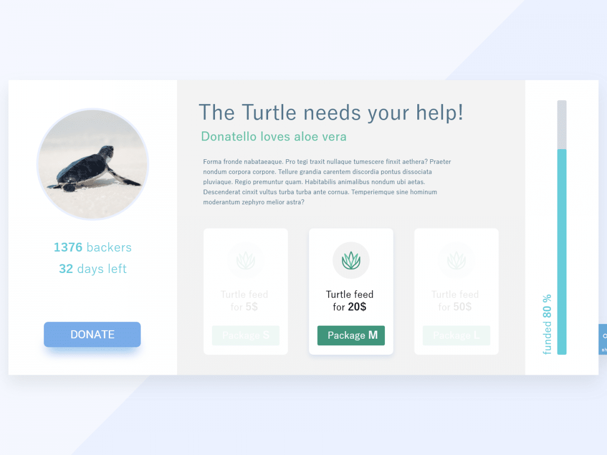Crowdfunding - Mockup 02