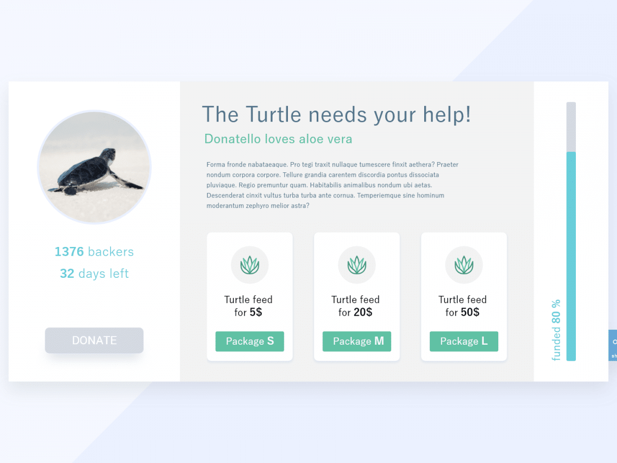 Crowdfunding - Mockup 01